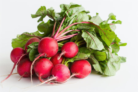 A bunch of radishes and green leavesの素材