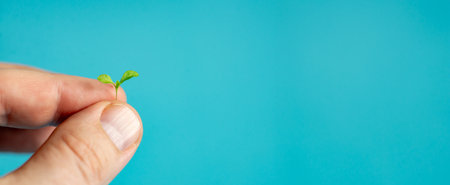 A hand holding a small plant. The plant is green and is growing from a seed. Concept of growth and...