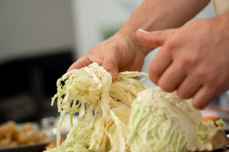 Person manually tearing white cabbage for a homemade recipe. Person manually tearing white cabbage for a homemade recipe.の写真素材
