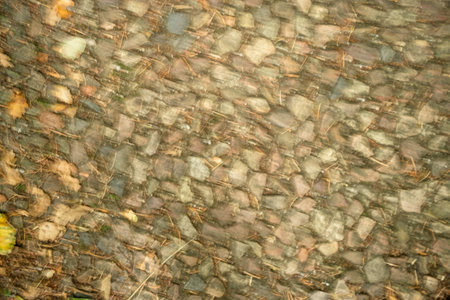 Blurred Cobblestone Path with Fallen Leaves in Autumn.