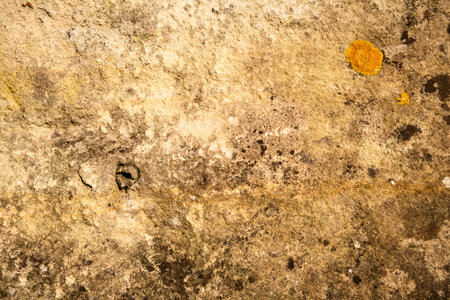 Grunge cement wall texture. Abstract background and texture for design.の写真素材