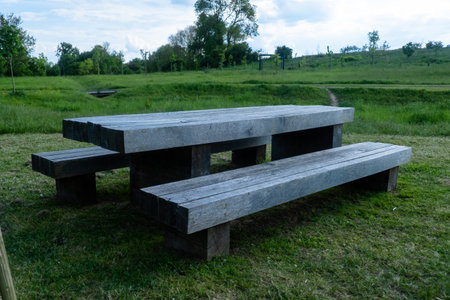 Rustic wooden picnic table in lush green park landscape.