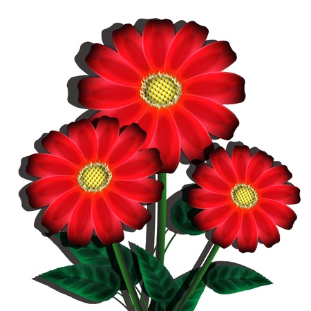 bouquet of red flowers on a white backgroundのイラスト素材