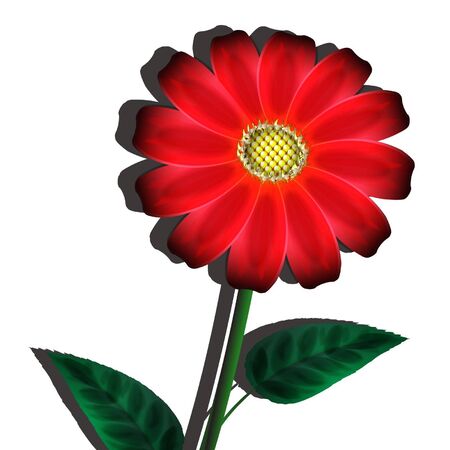 red flower on a white backgroundのイラスト素材