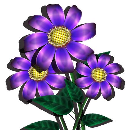violet flowers on a white backgroundのイラスト素材