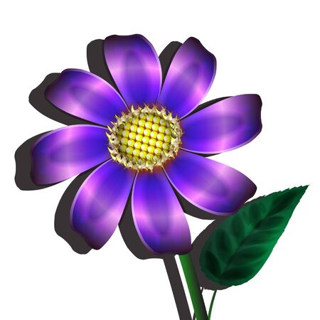 violet flower on a white background0のイラスト素材