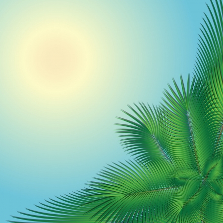 palm tree and the sun in the blue skyのイラスト素材