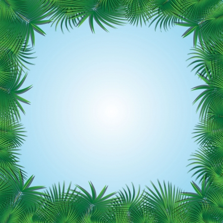 frame from palm treesのイラスト素材
