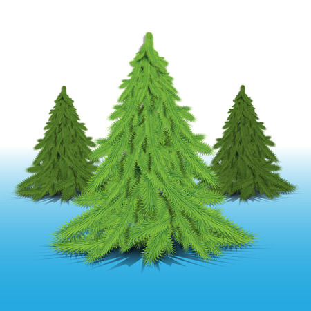 green fir-trees on a blue backgroundのイラスト素材
