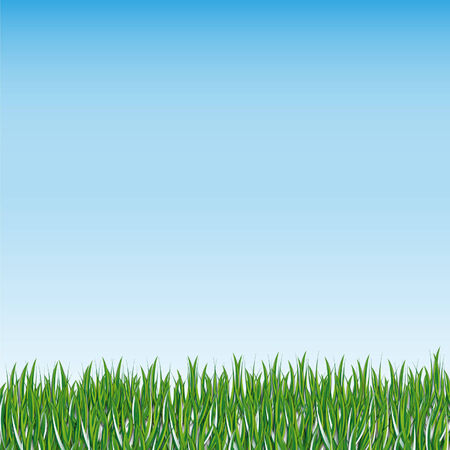 green grass against the skyのイラスト素材