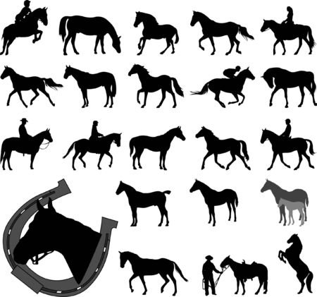horses collection - vectorのイラスト素材
