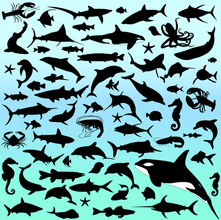 sea animals collectionのイラスト素材