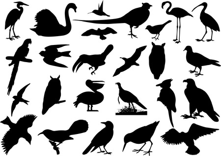 Birds silhouettes collectionのイラスト素材