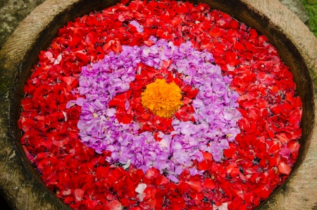 The rose petal is floating on waterの写真素材