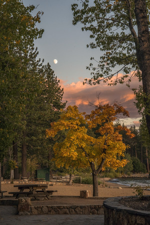 Fall Colors in North Lake Tahoeの写真素材
