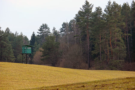Raised shed or Hunting Booth in the middle of woods, hide place for a hunters or forestersの写真素材