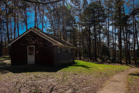 Old cottage house in the forestの写真素材