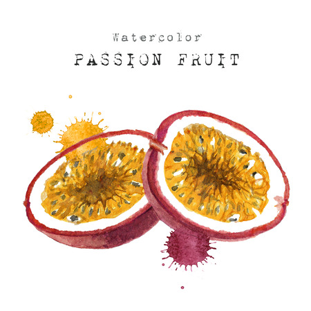 Passion fruit watercolor paint fresh half slice cut. Hand drawn sketch watercolor painting on white background. illustration of Set organic food diet passionfruit.の写真素材