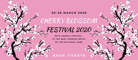 Cherry blossom event template with hand drawn branch with pink cherry flowers blooming.  Sakura blossoming festival banner. Chinese or Japanese traditional drawing. Vector.のイラスト素材