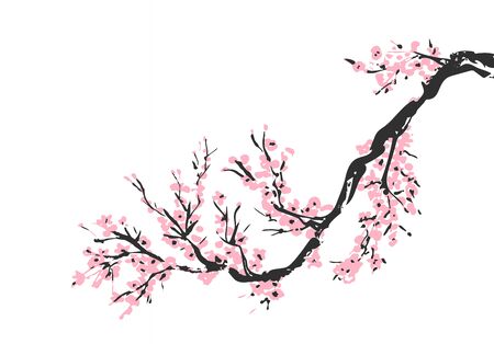 Cherry blossom hand drawn branch with pink cherry flowers blooming.  Sakura blossoming twig isolated on white.  Chinese or Japanese traditional drawing. Vector.のイラスト素材