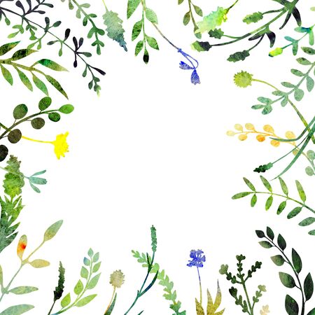 Watercolor frame.  Made of field meadow herbs, plants, twigs. Summer or spring design. Hand painted square foliage.  Herbal composition. Isolated on white. Great to frame texts, quotes and logos.の写真素材