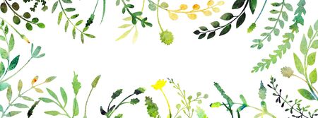 Watercolor herbal floral banner. Horizontal background great to place texts, logos, phrases. Made of hand painted herbs and wild flowers. Summer or spring  theme with meadow or field plants.の写真素材