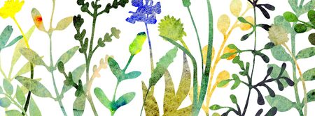 Watercolor herbal floral banner. Horizontal background great to place texts, logos, phrases. Made of hand painted herbs and wild flowers. Summer or spring  theme with meadow or field plants.の写真素材