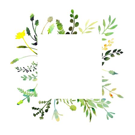 Watercolor frame.  Made of field meadow herbs, plants, twigs. Summer or spring design. Hand painted square foliage.  Herbal composition. Isolated on white. Great to frame texts, quotes and logos.の写真素材