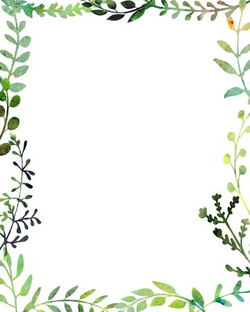 Watercolor frame.  Made of field meadow herbs, plants, twigs. Summer or spring design. Hand painted square foliage.  Herbal composition.の写真素材