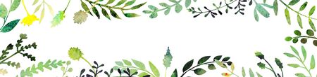 Watercolor herbal floral banner. Horizontal background great to place texts phrases. Made of hand painted herbs and wildflowers. Summer or spring  theme with meadow or field plants.の写真素材