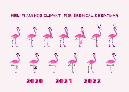 Pink Christmas Flamingo Set Tropical Birds Designのイラスト素材