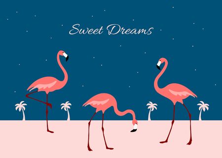 Sweet Dreams Flamingo poster. Night landscape banner. Cute exotic birds. Cartoon flat design. Vector.のイラスト素材