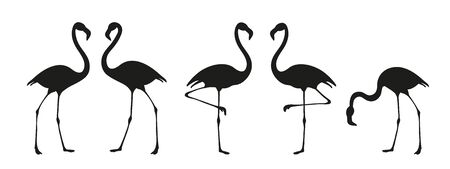 Flamingo bird silhouette. Tropical bird drawing. Vectorのイラスト素材
