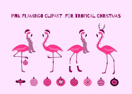 Christmas Pink Flamingo Set for Tropical Christmas Design. Birds in Santa hats, scarfs, garland, glass of champagne, Christmas baubles.のイラスト素材