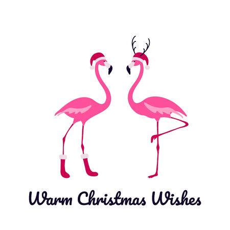 Pink flamingo Christmas and happy New Year greeting card. Warm winter wishes. Funny flamingo birds for season holidays. Colorful vector illustration.のイラスト素材