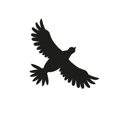 Bird silhouette flying isolated on white. Pigeon or dove drawing.のイラスト素材