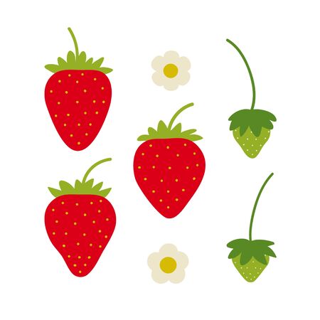 Strawberry set with red and green berries and flowers. Colorful cartoon flat elements isolated on white. Botanical vector illustration.のイラスト素材