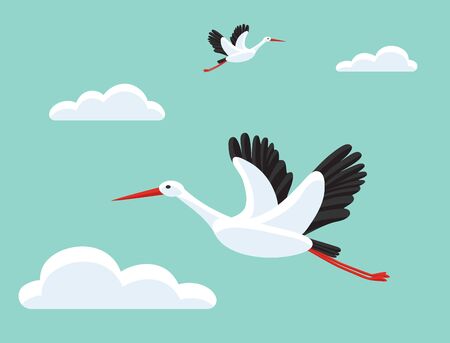Storks flying in sky. Bird as symbol for baby shower, delivery, news, pregnancy. Beautiful background.のイラスト素材