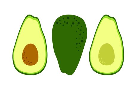 Avocado drawing. Vector background. Fruit icon isolated. Whole, half cut and seed. Tropical food for healthy eating and keto diet. Flat cartoonのイラスト素材