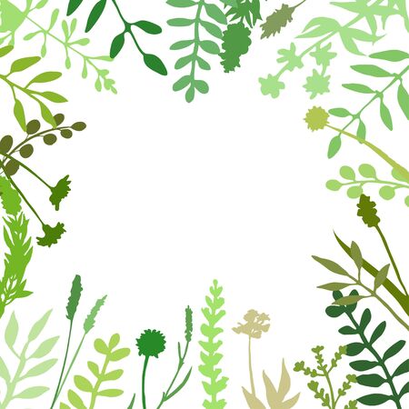 Floral border made of hand drawn wild herbs and flowers. Green frame. Square border great to place any text or quote. Botanical drawing. Vector illustration isolatedのイラスト素材