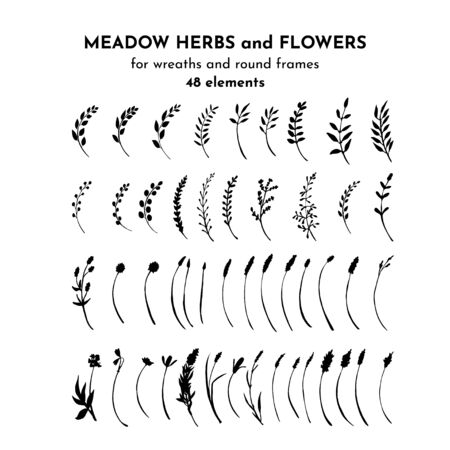 Wild flowers, meadow herbs, field plants. Silhouettes set. Twigs and branches bundle. Botanical drawing. Vector illustrayion isolatedのイラスト素材