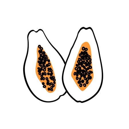 Papaya fruit drawing. Great as design element for prints, posters and labels. Modern concept. Vector illustration isolatedのイラスト素材
