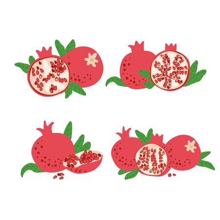 Pomegranate fruit set. Vector drawing isolated on white. Simple cute flat design. Symbol for Jewish traditional holidays. Great for card, poster, banner background. Botanicalのイラスト素材