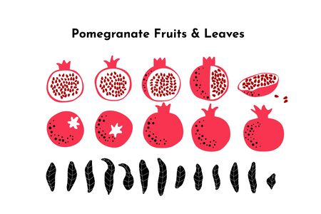 Pomegranate fruit bunde made of leaves, whole, cut and slice fruits and seeds. Vector drawing isolated on white. Simple cute design. Great for card, poster, banner background. Botanicalのイラスト素材
