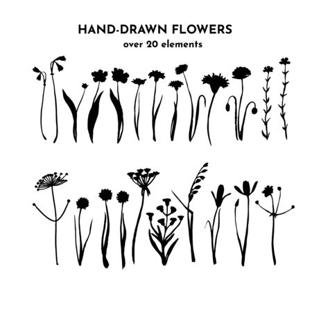 Wild flowers sketch set. Floral silhouettes. Ink drawing. Hand drawn plants. Vector illustration isolated on white.のイラスト素材