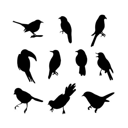Bird Silhouettes collection. Sketchy hand drawing. Great as icon . Vector illustration set isolatedのイラスト素材