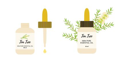 Tea tree essential oil in glass bottles. Eye dropper dropping oil. Malaleuca twigs with flowers and leaves on the background. Vector illustration isolatedのイラスト素材