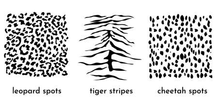 Animal print collection. Leopard spots, cheetah spots and tiger stripes isolated on white. Great as a fashionable texture on textile and fabric. Vector illustrationのイラスト素材