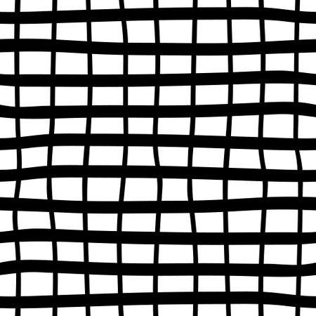 Black and white plaid seamless background. Hand drawn plaid pattern. Vector abstract wallpaper.のイラスト素材