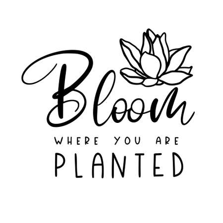 Bloom where you are planted with a beautiful lotus flower is great as a tshirt print or greeting card. Vector quote isolated on whiteのイラスト素材